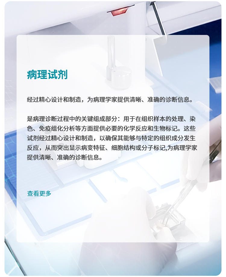 中应用1sj