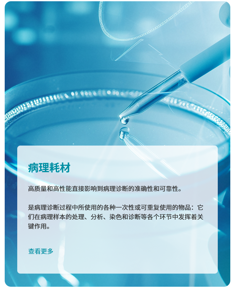 中应用2sj